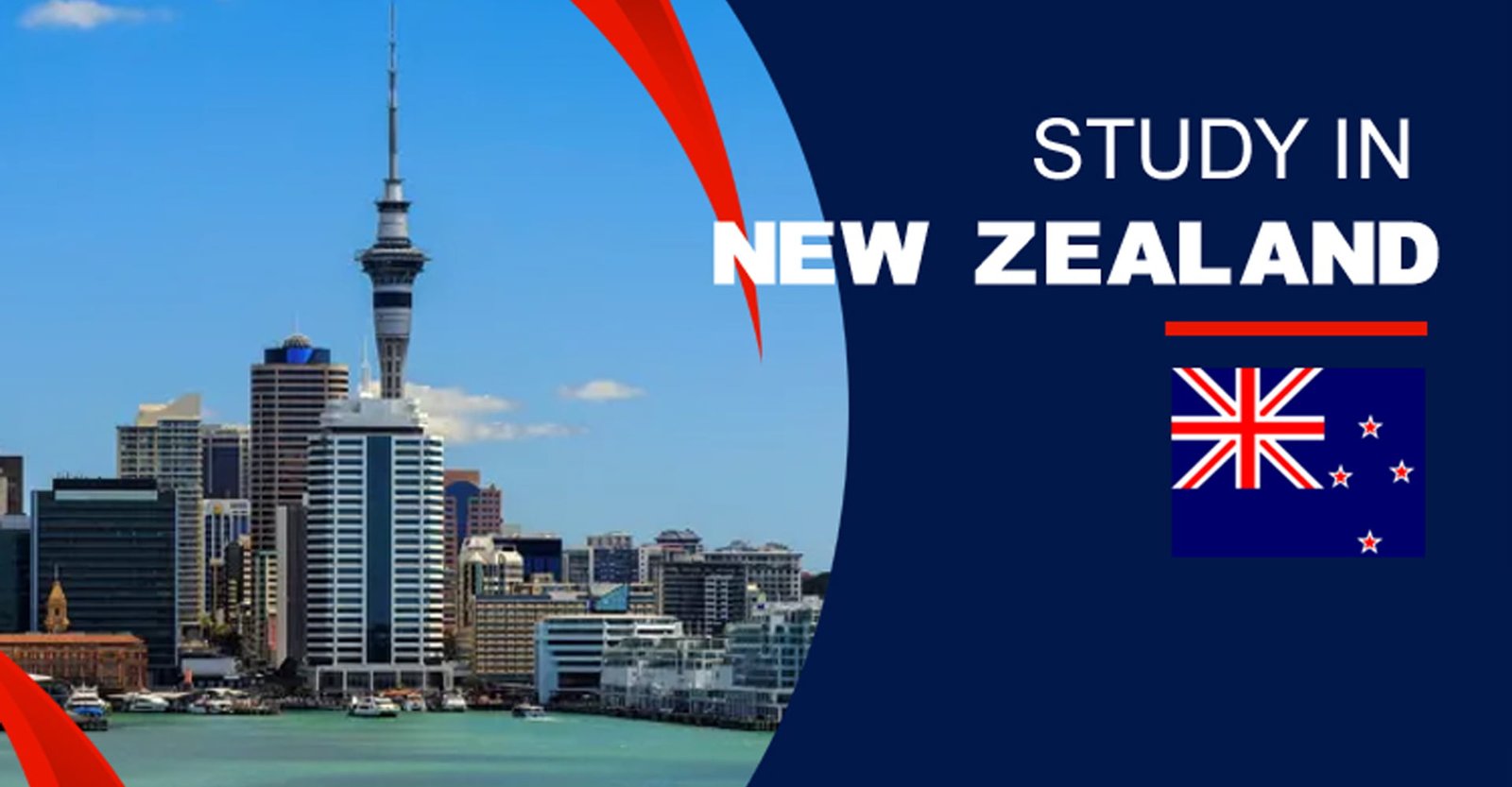 Study In Newzealand
